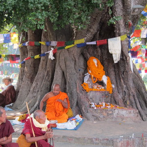 Lumbini - Bodhgaya - Sarnath - Nalanda - Rajgir - Kushinagar ... P resa med Swed-Asia Travels kan du beska platser viktiga i Buddhas liv och fr Buddhismens spridning. Vi skrdarsyr din resa 